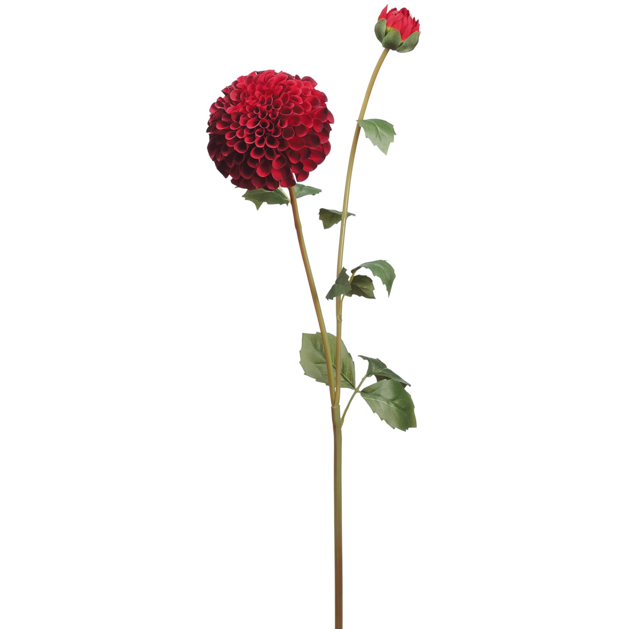 Red Dahlia Spray